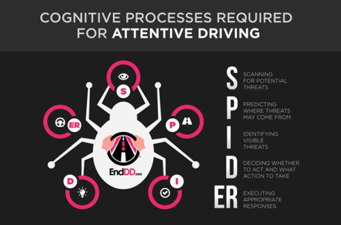 Diagram of cognitive process required for attentive driving